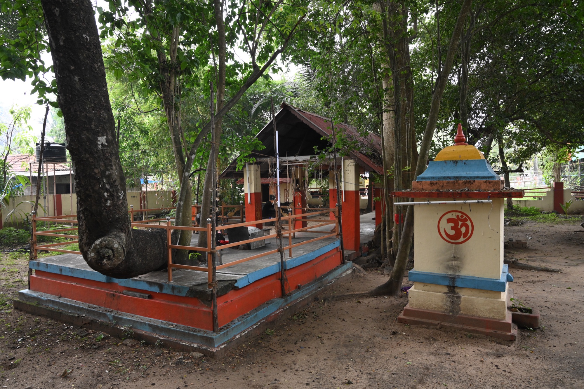 മൂലസ്ഥാനം (1)